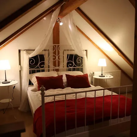 Haus Janina 펜션 *