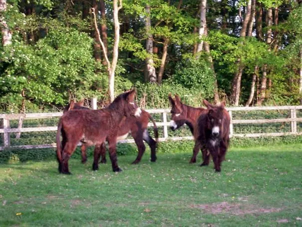 Haus Janina Feriehus Rieste
